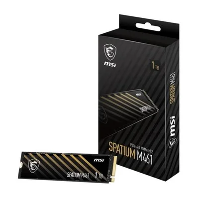 MSI SPATIUM M461 1TB NVME M.2 SSD - Resim 1